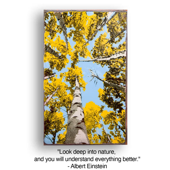 208: Depth Perception