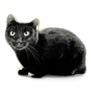Cat Black Pillow