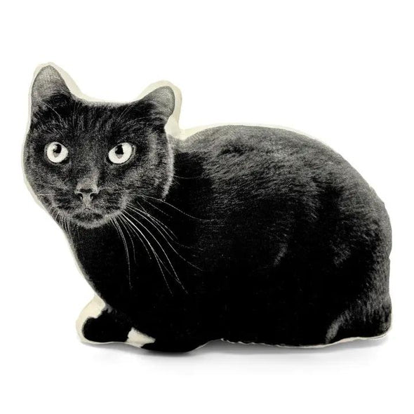 Cat Black Pillow