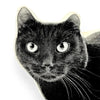 Cat Black Pillow