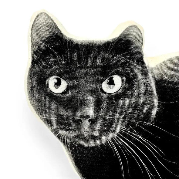 Cat Black Pillow