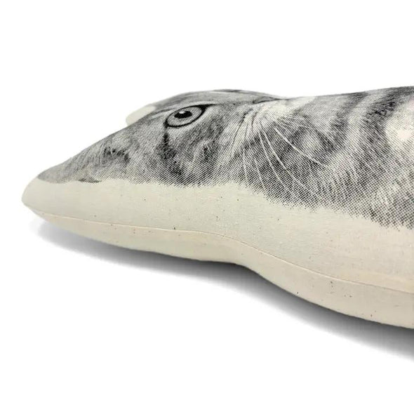 Cat Pillow