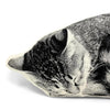 Cat Sleeping Pillow