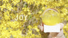 Serenity Sphere Yellow